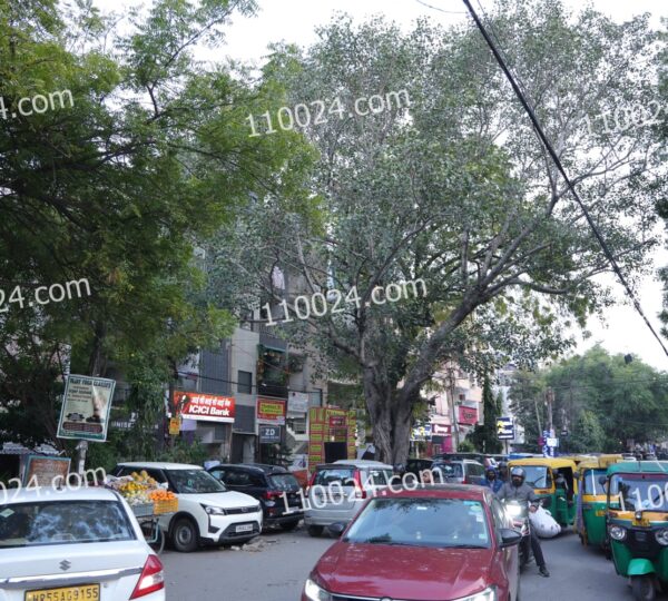 Dayanand Colony (Block A - C) 19