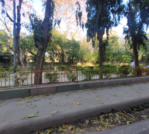 Jal Vihar 24